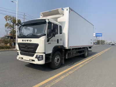 HOWO Sinotruk 4× 2 220HP Factory Directly Sale Freezer Refrigerated Carrier 45
