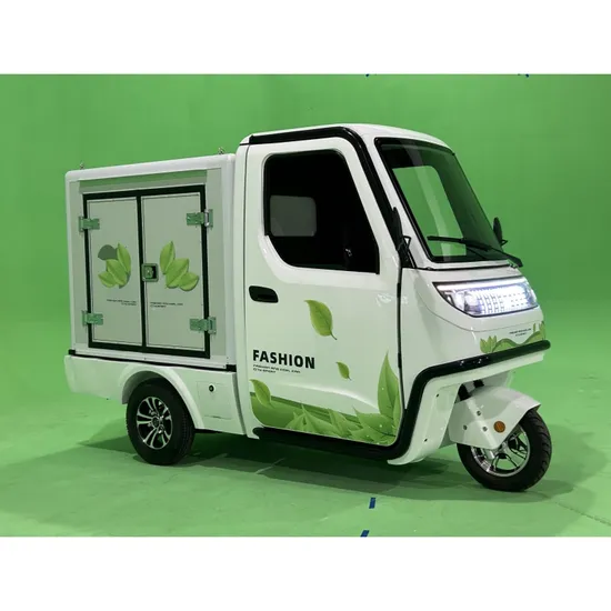 60V 3000W Cabin Electric Van / New Electric Cargo /Refrigerated Van of Lowest Temperature Minus 18.5 with EEC Certificate 