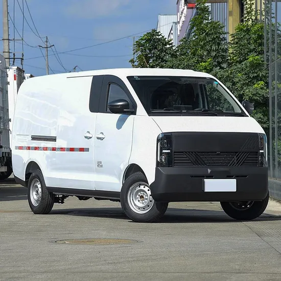 China Factory Electric Cargo Box Van Wholesale Price Electric Van Hot Sellling 